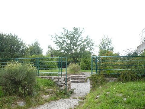 Foto 20